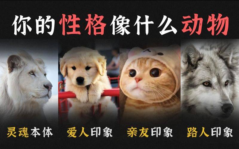 你在爱人面前什么性格（动物人格类型测试）