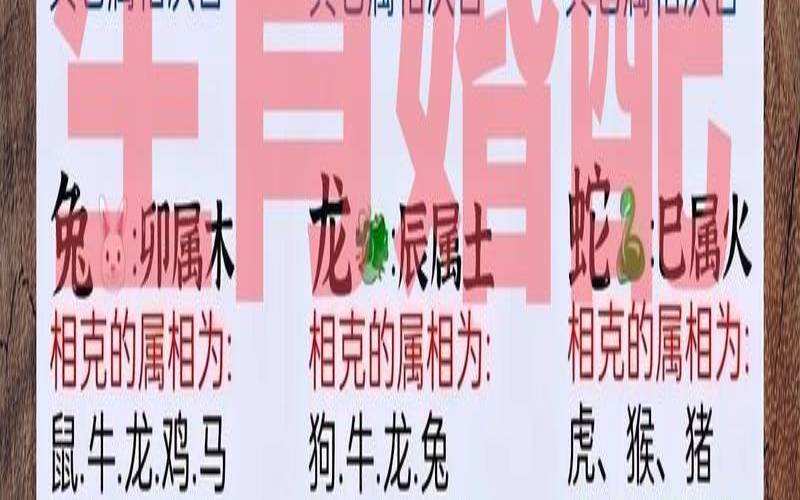 十二生肖最佳婚配表2021（1994年属狗的婚配）
