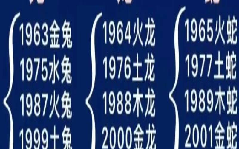 06年属狗人属于什么命（2006年属狗一生大劫年）