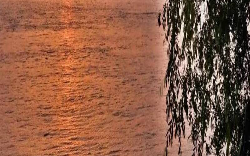 和你相伴到老什么歌（找个相爱的人一起到老）