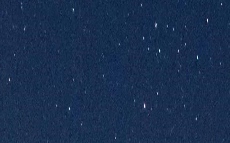 判答2021年8月星座运势（2023狮子座流星雨）