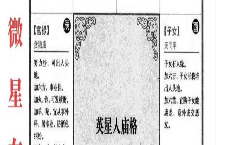 紫微斗数中年指的是多少岁（经商大富的紫微命格）