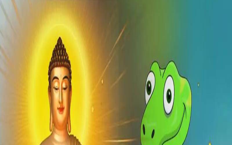 属蛇人转运的方法有哪些（属蛇的哪年开始转运）