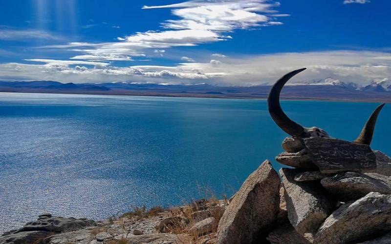 张盛舒2019年1月12生肖运势（张鑫龙今日生肖运势）