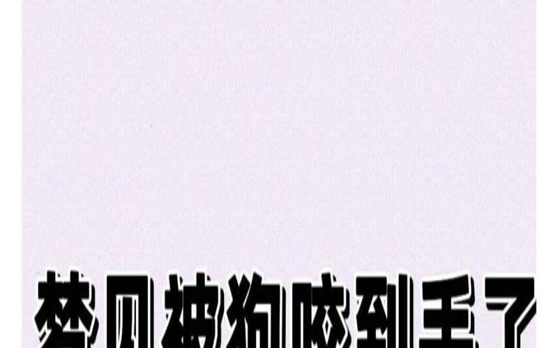 男人梦见狗咬手是什么预兆（梦见狗咬自己的手不松口）