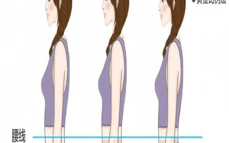 难以抗拒的人（测一测你是不是大长腿）