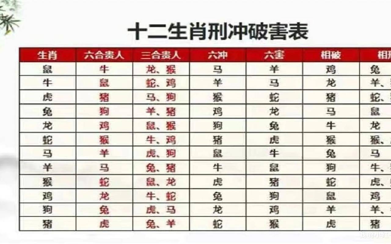 什么是三合生肖（四字找谁合是什么生肖）