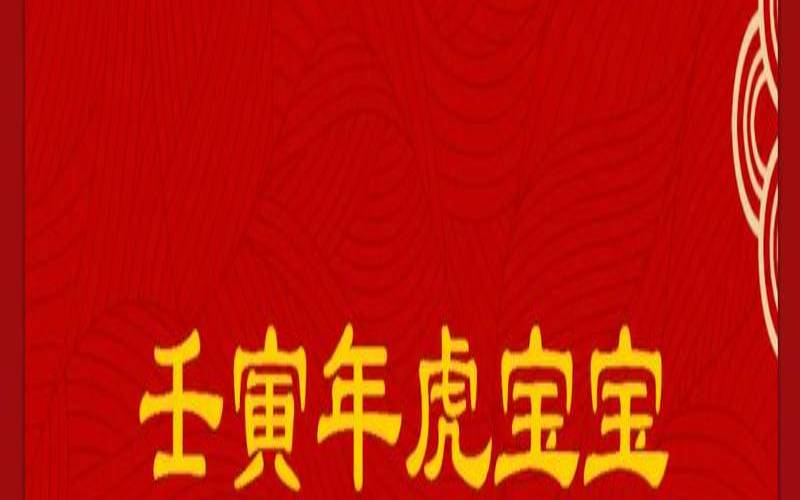 壬寅年出生取名（壬寅虎年是什么命）