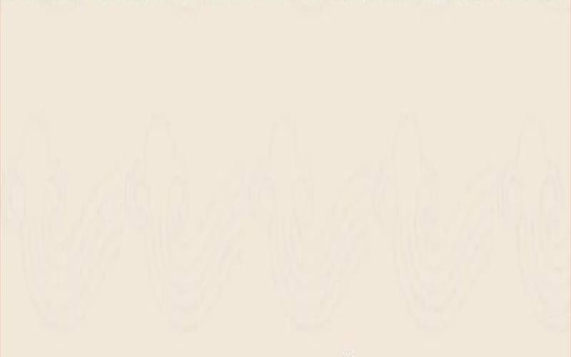 属龙人2024年（属龙今日运势）