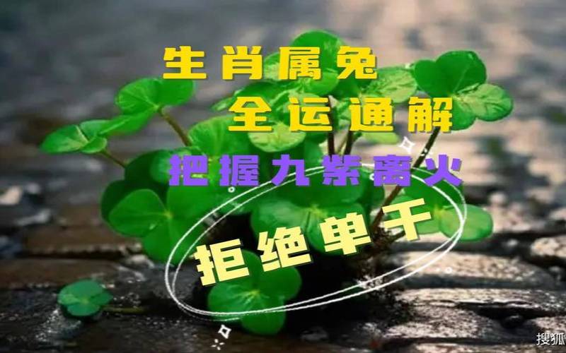 2018年属兔人运势（属兔事业运势）