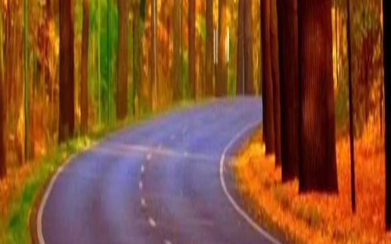 2022年11月白羊座运势太可怕了（alex2020年白羊座11月运势）