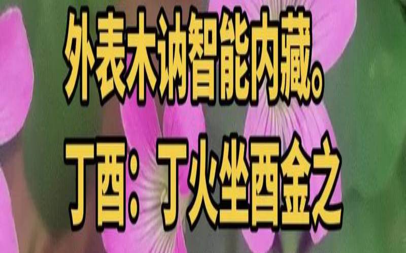 丁火日柱婚姻（丁火以什么为妻）