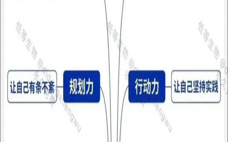 什么样的人是自我的人（自我能力的提升从哪几个）