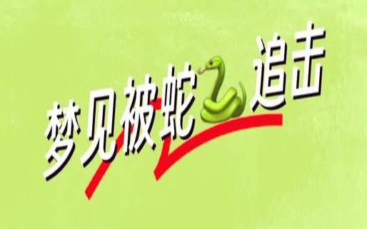 梦见自己被大蟒蛇追着跑（女人做梦梦到大蟒蛇追）