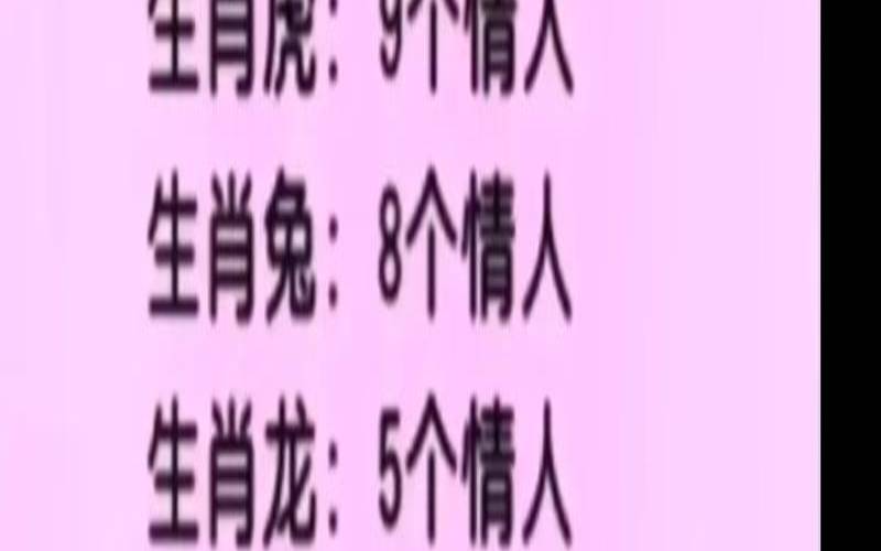 情人指的是什么生肖（情字代表什么生肖）