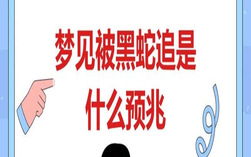 梦见杀死了黑蛇是什么预兆（梦见杀掉蛇是什么意思）