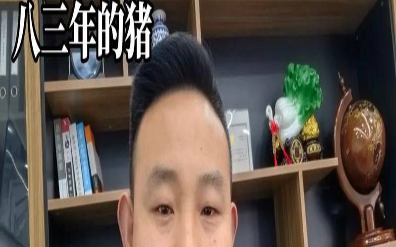 1983年在2022年的运势如何（83年的猪2024年适合创业吗）