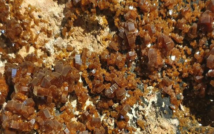 出尔反尔是什么生肖出尔反尔打一个动物生肖（面红耳赤打一生肖）