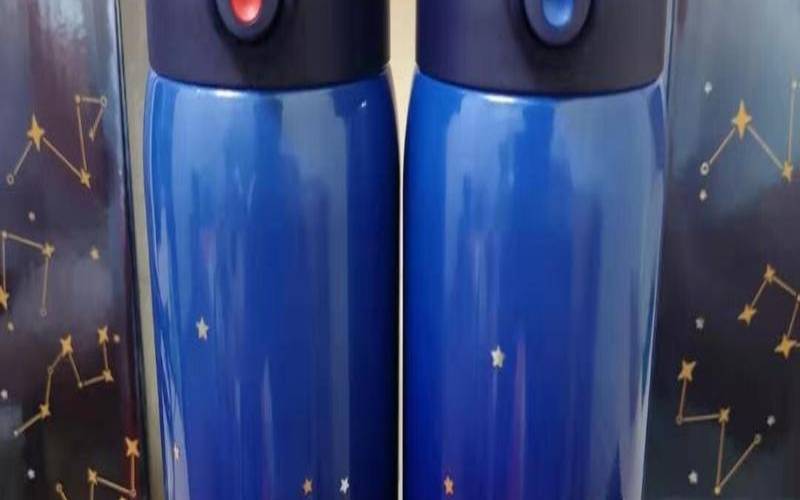 膳魔师星座杯为啥这么贵（膳魔师水杯什么档次）