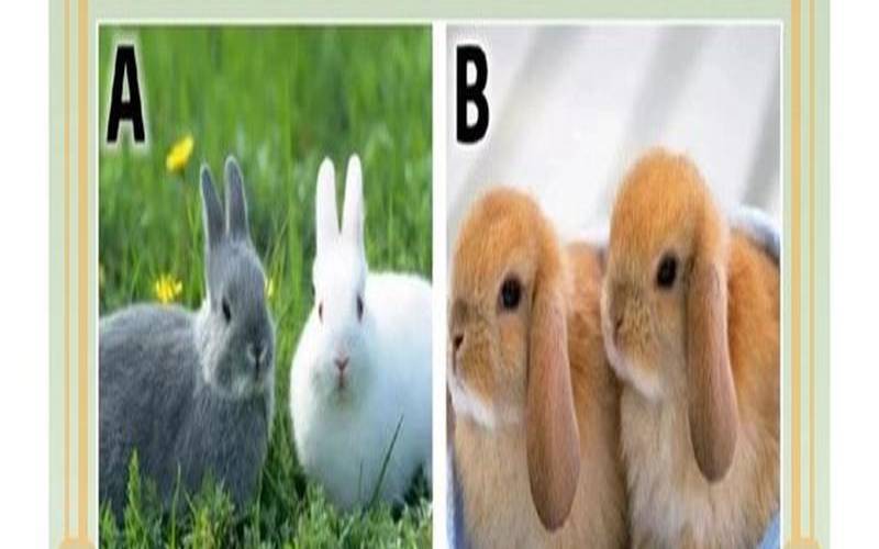 测你属于那种结婚类型的人（测什么时候能找到对象）