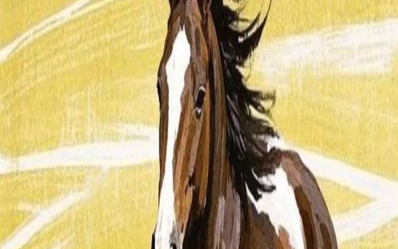 78年属马的2021年运程（78年的马今年可以创业吗）