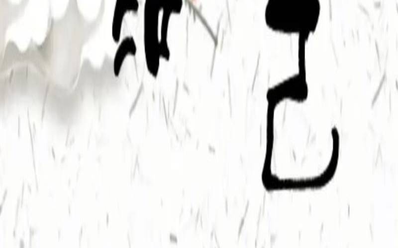 自己的命运自己做主感悟（自己给自己做主的说说）