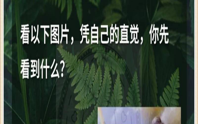 一个不听取别人意见的人（人格测试在线测试）