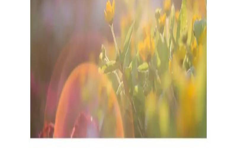 人运气不好的时候会怎样（怎么查自己最近的运气）