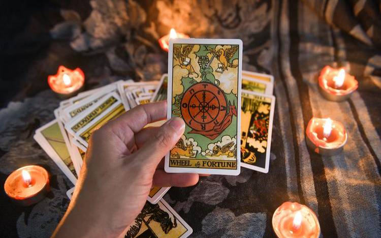 塔罗通灵占卜可信吗（Daisy塔罗最新占卜视频大全）