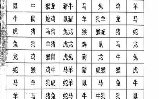 测八字合不合免费（属相合八字不合怎么办）