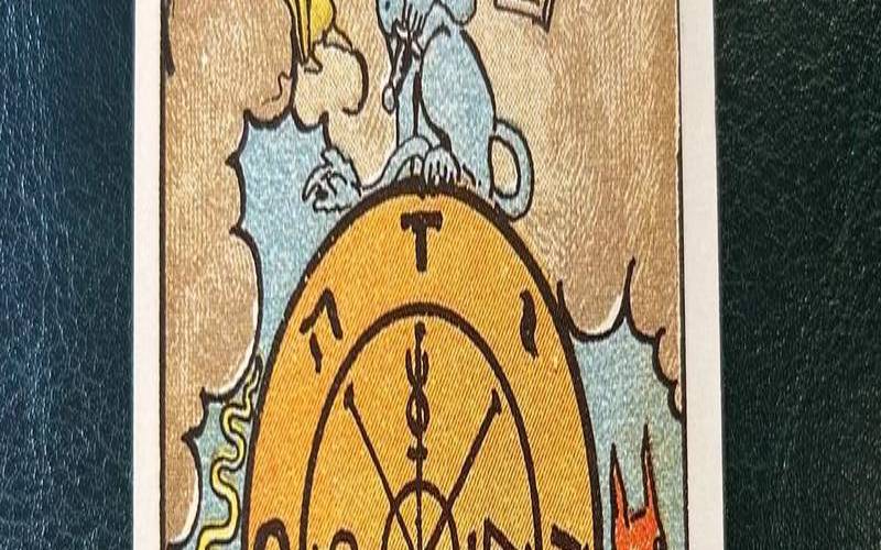 爱情塔罗牌命运之轮正位（命运之轮正位是结束了吗）