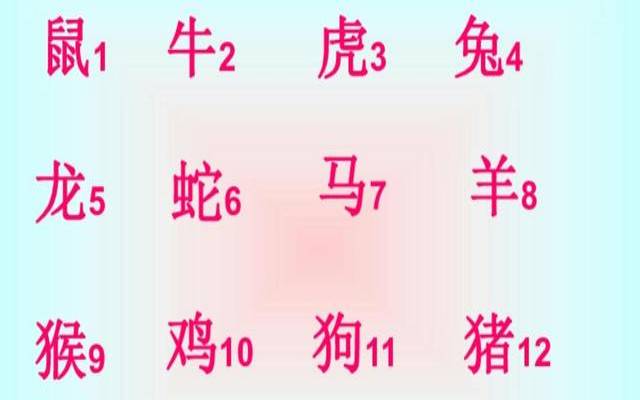 7十二生肖对应的数字（十二生肖大全套）