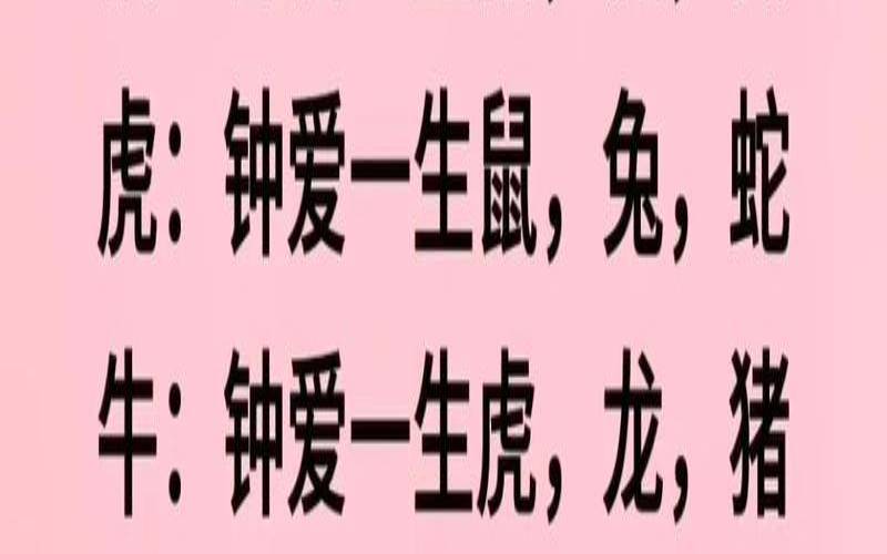 生肖生辰八字（12生肖算命婚姻配对）