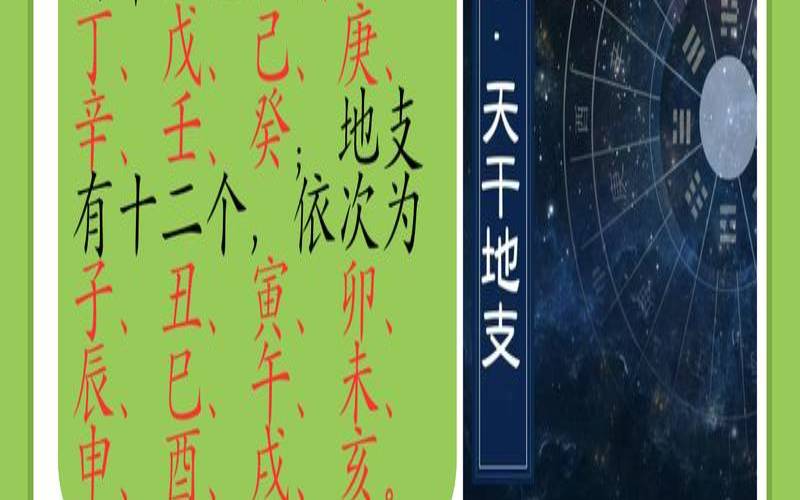 如何知道自己的八字五行（五行查询软件哪个好）