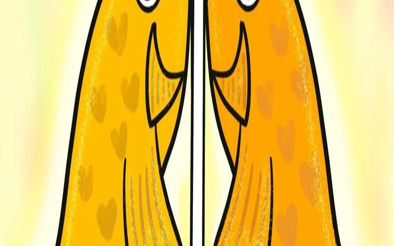 八吉祥双鱼图案的吉祥寓意（双鱼是什么意思）