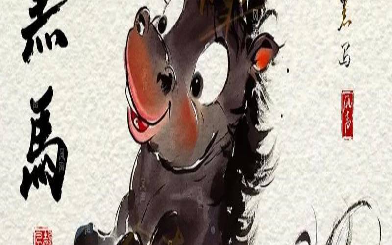 男生说526是什么意思（宝马一匹值千金猜生肖）