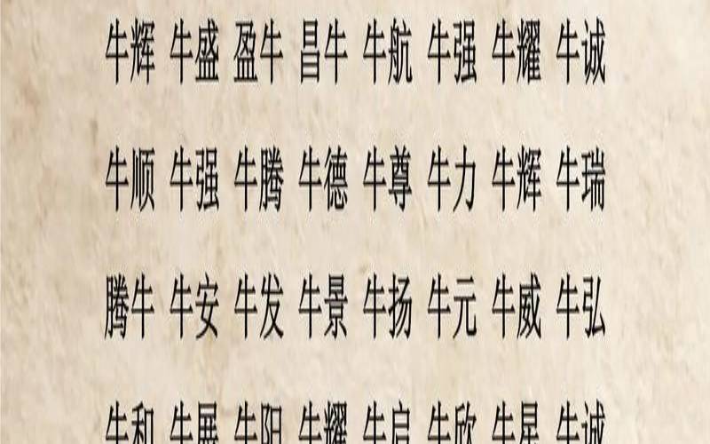 属牛起名字大全男孩（茗字取名男孩有寓意）