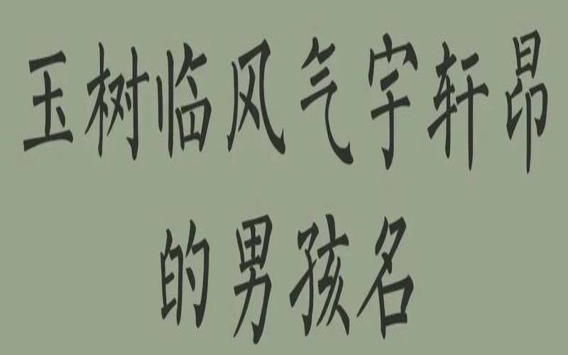 男孩草木茂盛的字（草字头最吉利的字男孩）