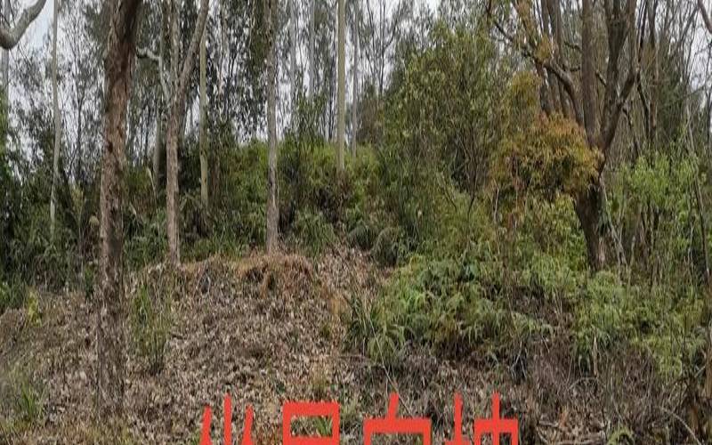 艮山坤向水口吉凶觯（艮山坤向正确出水口）