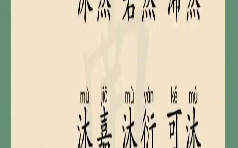 取名按生肖还是八字（取名讲究五行还是生肖）