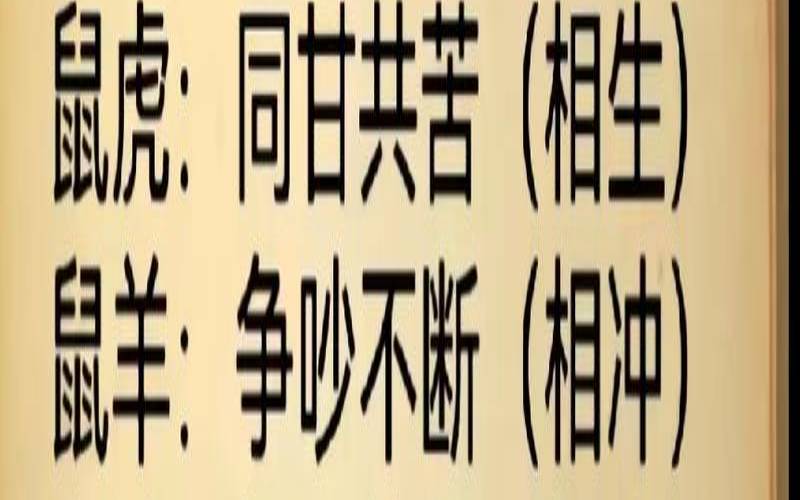 左四右八猜什么生肖（四八两边出是什么生肖）