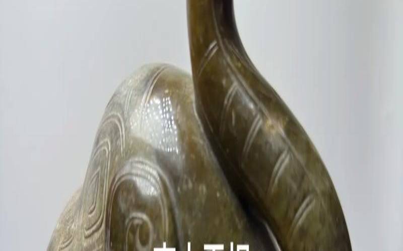 吉凶生矣在天成象中的意思（吉人天相正确答案动物）