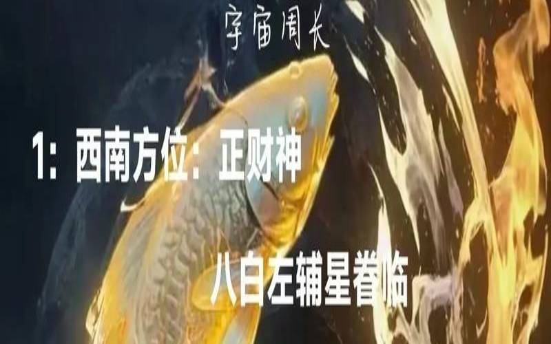 5月23号财神方位（财神方位今日财神方位查询）