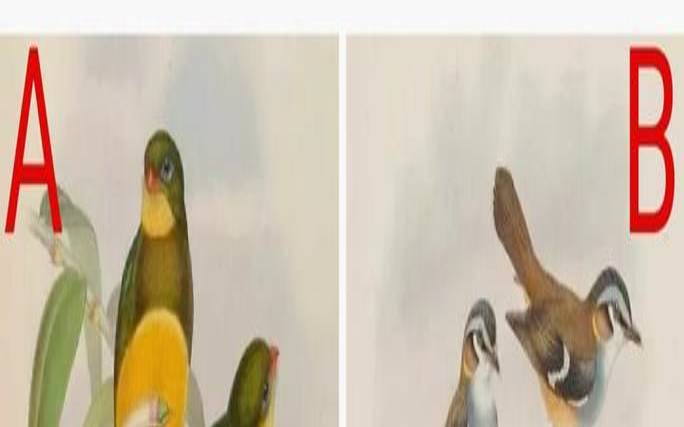 测是否喜欢他（暗恋心理学测试）