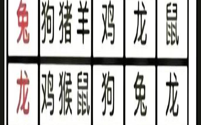 生肖的排位是什么（属相是如何划分的）