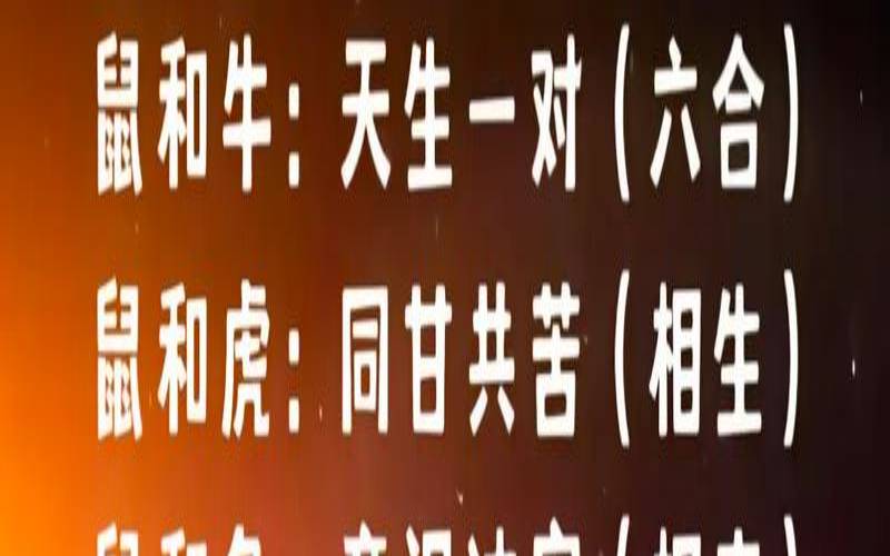 72年的鼠和什么属相最相配（鼠和什么生肖最配亲情）