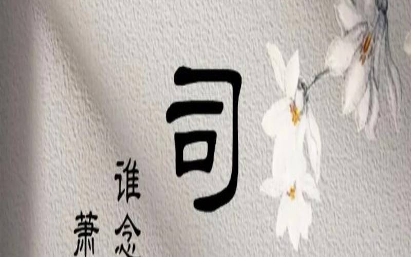 女孩儿起名取名字大全单字（高冷又好听的单字）