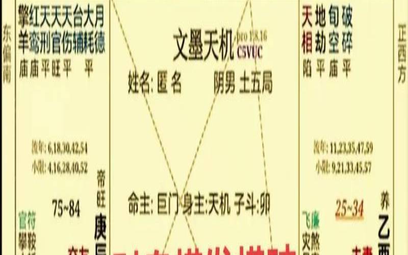 紫微命盘主星怎么看（紫微命盘自动解读）