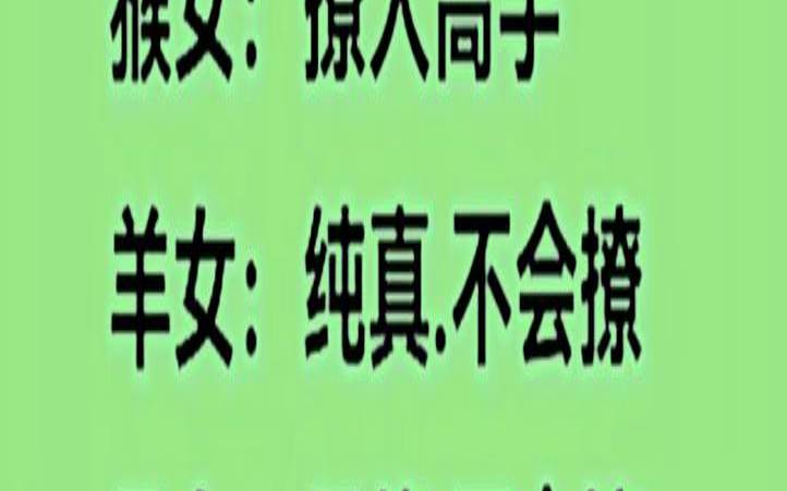撩代表什么生肖（最会撩人的生肖）