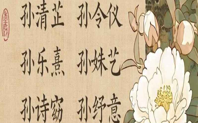 姓孙起名女孩有寓意（姓孙的女孩名字大全）